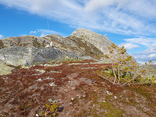 Sukkertoppen 