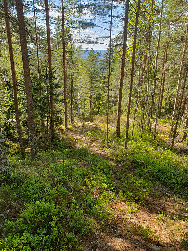Toppstemning