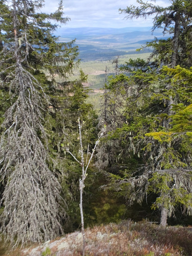 Høgberget.