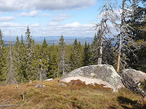 Trollsberget. Utsikt østover.