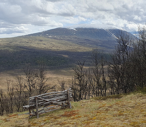Idyll rett nord for toppen. Muen med hette.