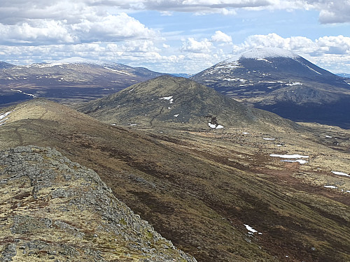 Saukampen, Muen og Steinhø frå Storhøi