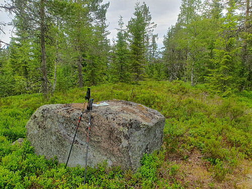 Hästbergskullen