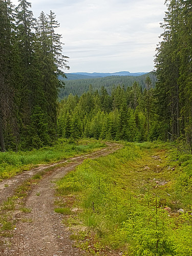 Hästbergskullen retur