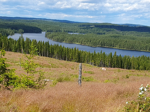 Utsikt over Trehörningen