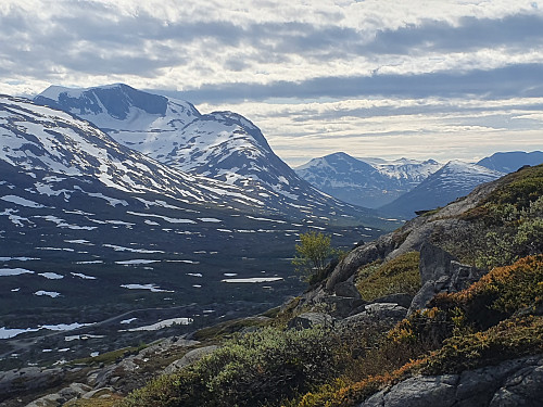 Drømmelandskap fra nedturen