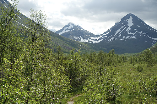 Flotte Andersdalen