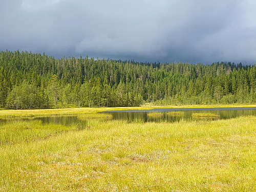 Stemning ved Svartbekktjernet