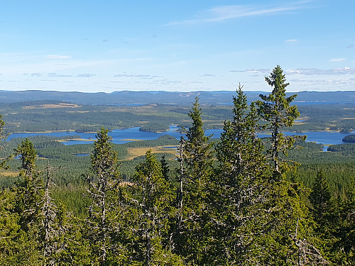 Örsjön - med det jeg antar at er Rogenmorener. Lengre bort fra isskillet under siste glasiasjon enn hvor jeg trudde at slike fantes.