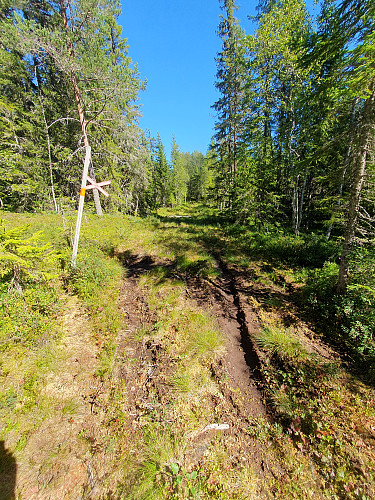 Ødeleggelse av Norrvärmlandsleden, der ATV'er nettopp har passert.