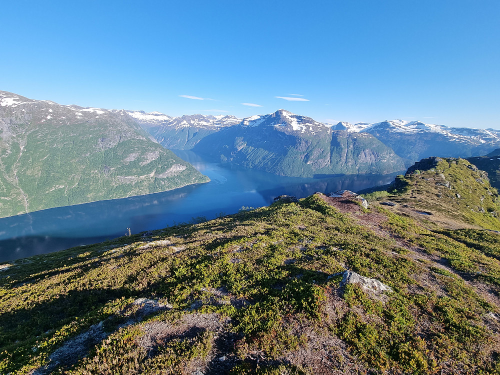 Båsenibba