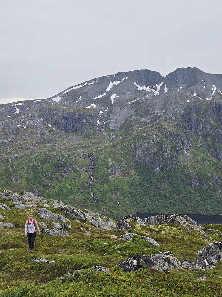 Blå