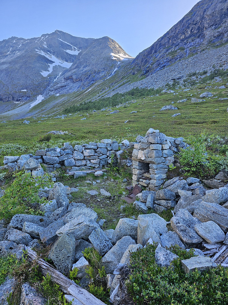 Tydker