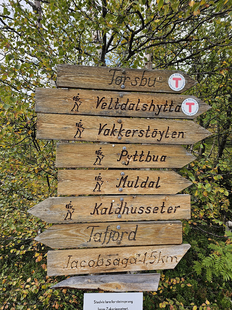 Valg