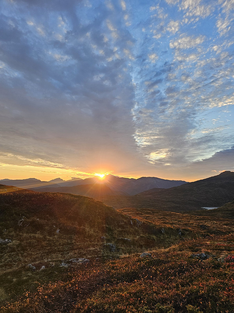 Solnedgang