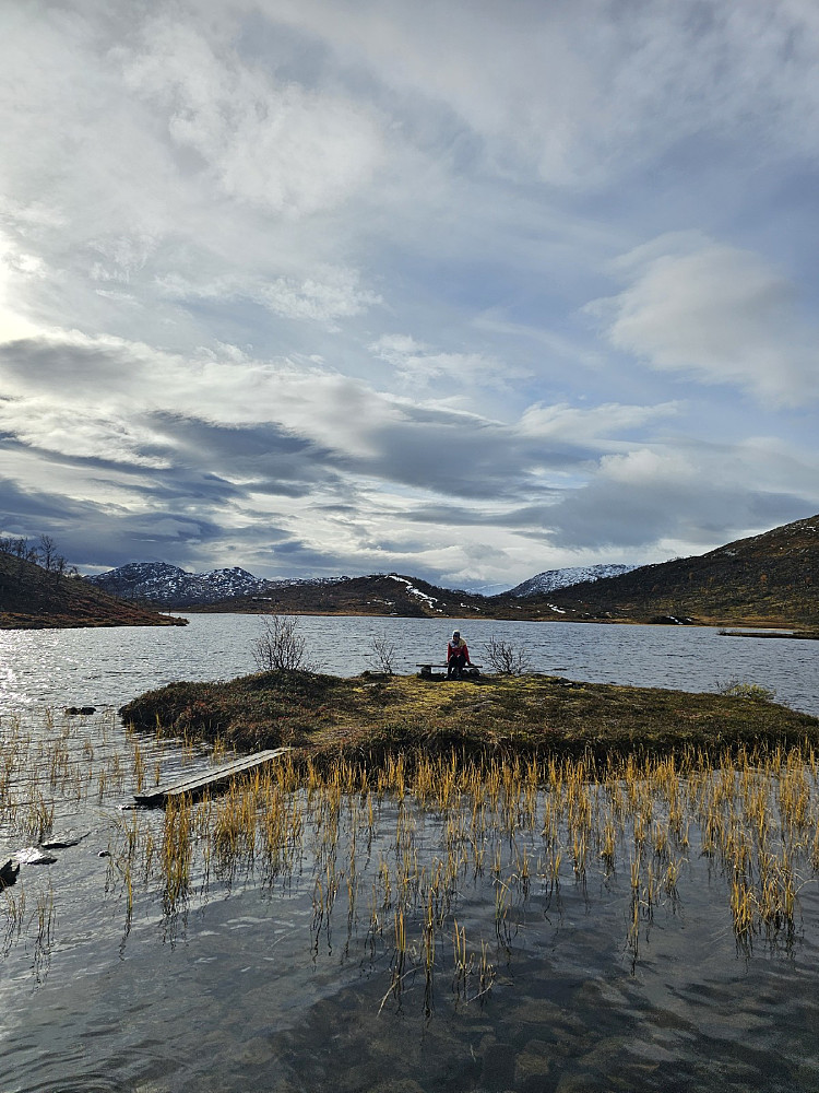 Tjønna