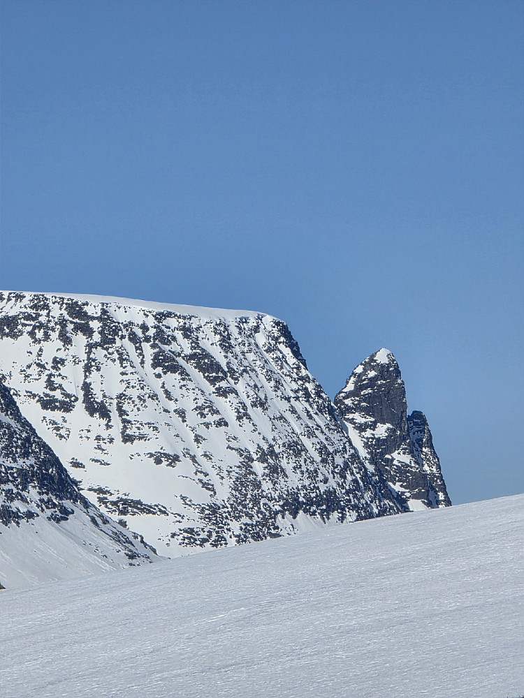 Tårn