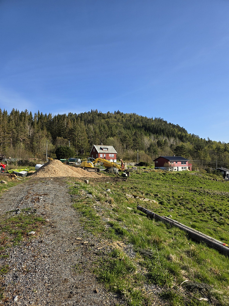 Første