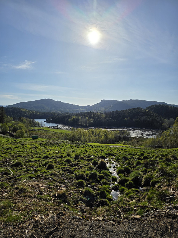 Mot aspøya