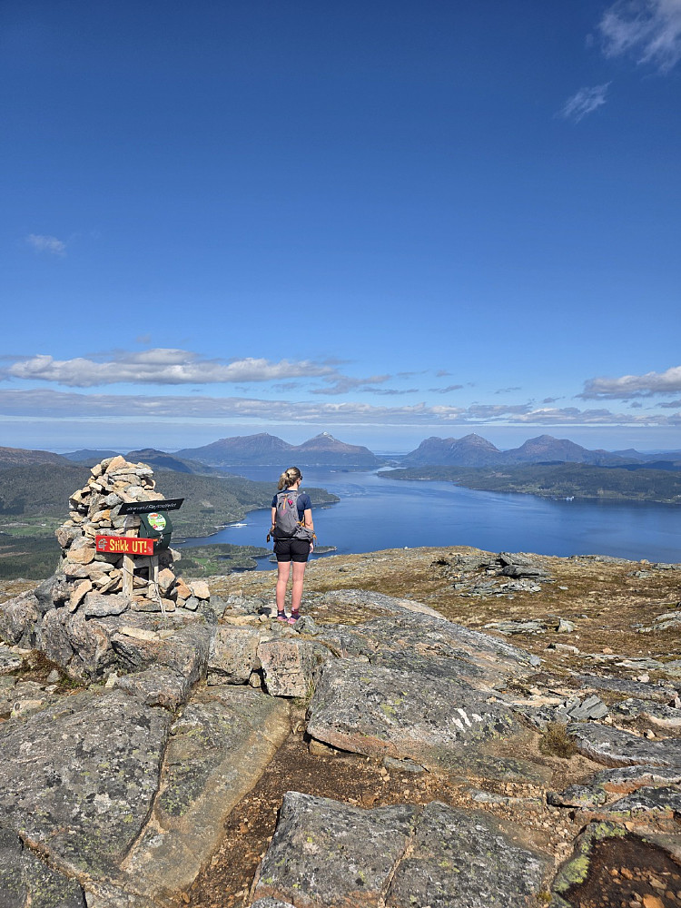 Fløy