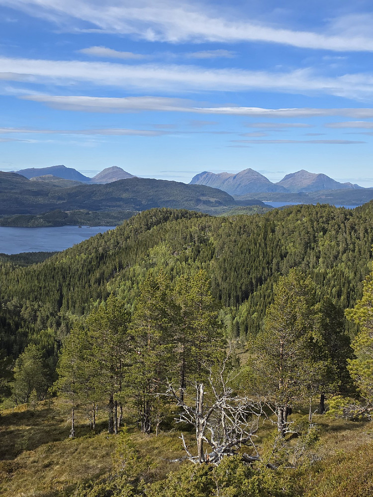Fra rNken