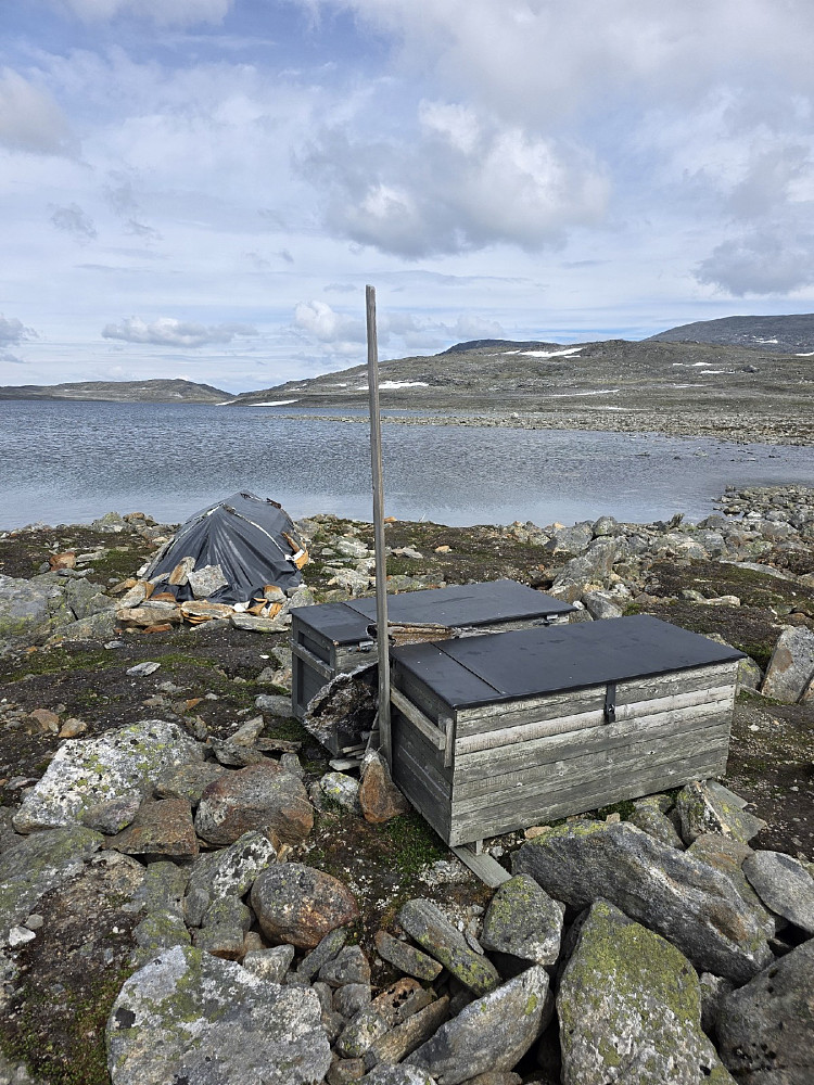 Båt