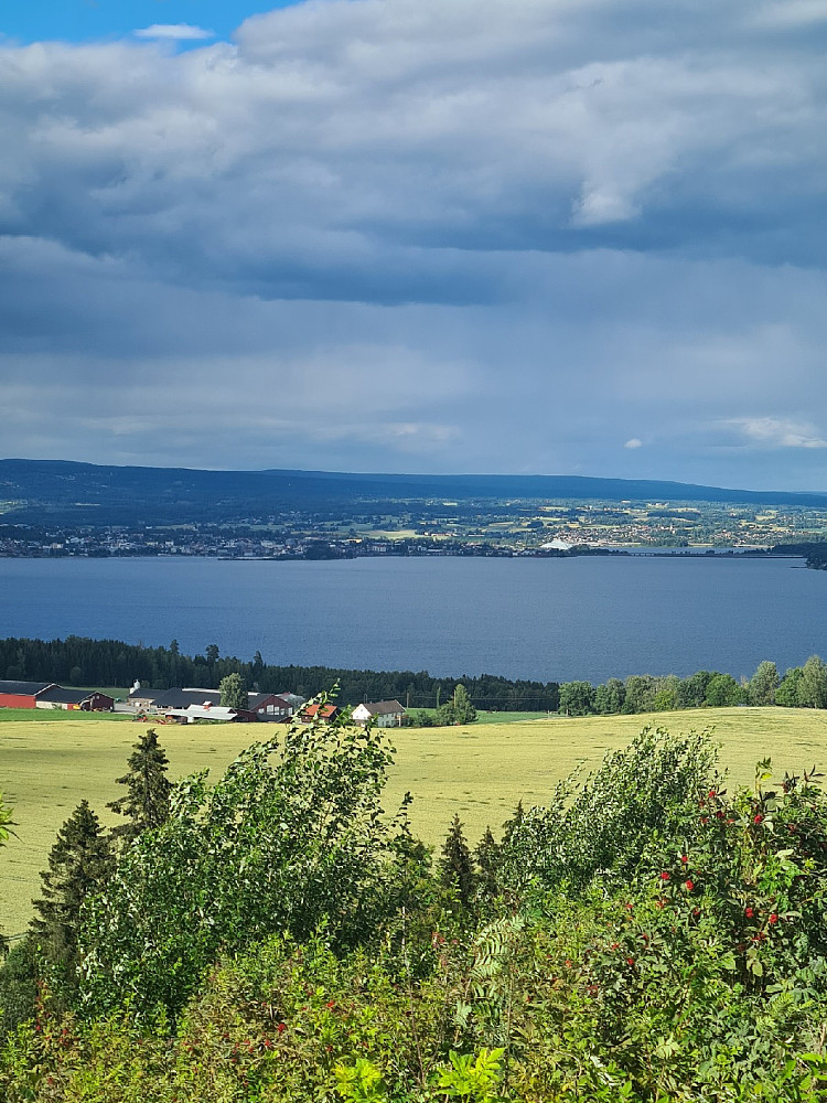 Fra utsikten mot Hamar