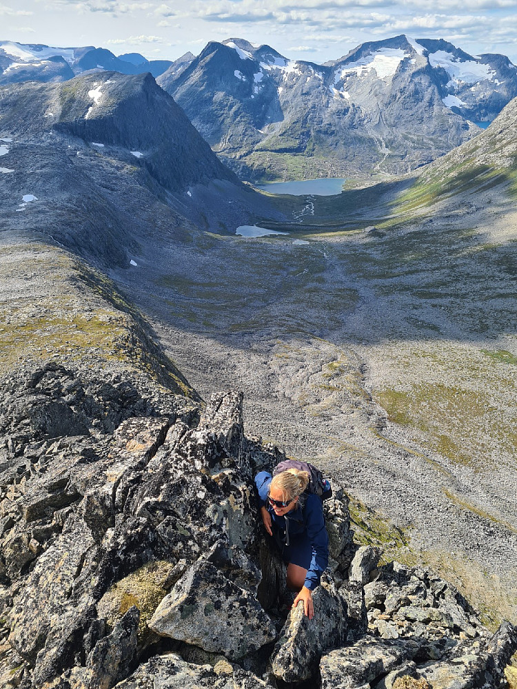 Alnesdalen