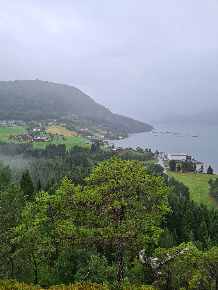 Første
