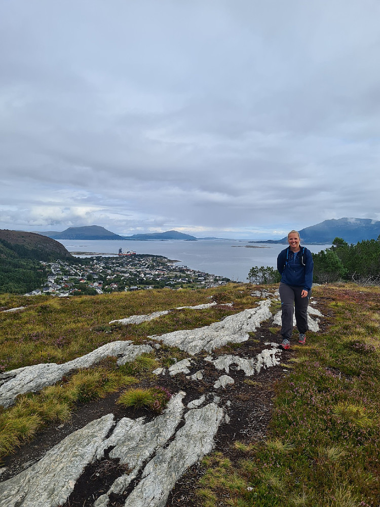 Utsikt mot Nordøyane