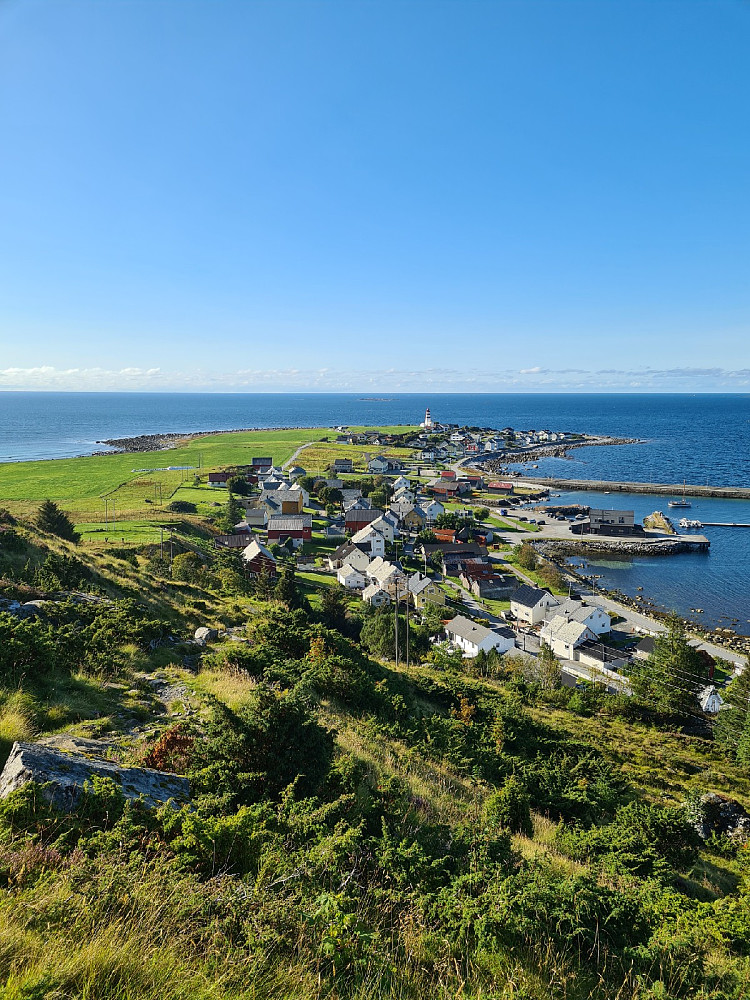 Alnes