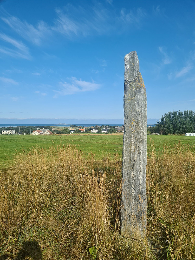 Bauta