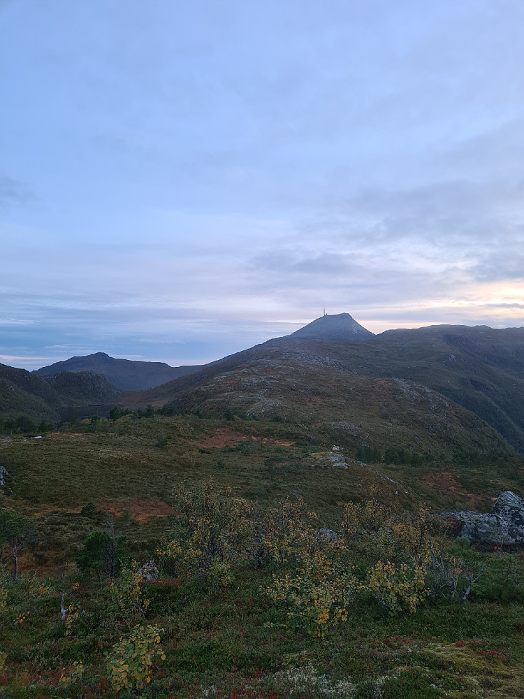 Reinsfjellet