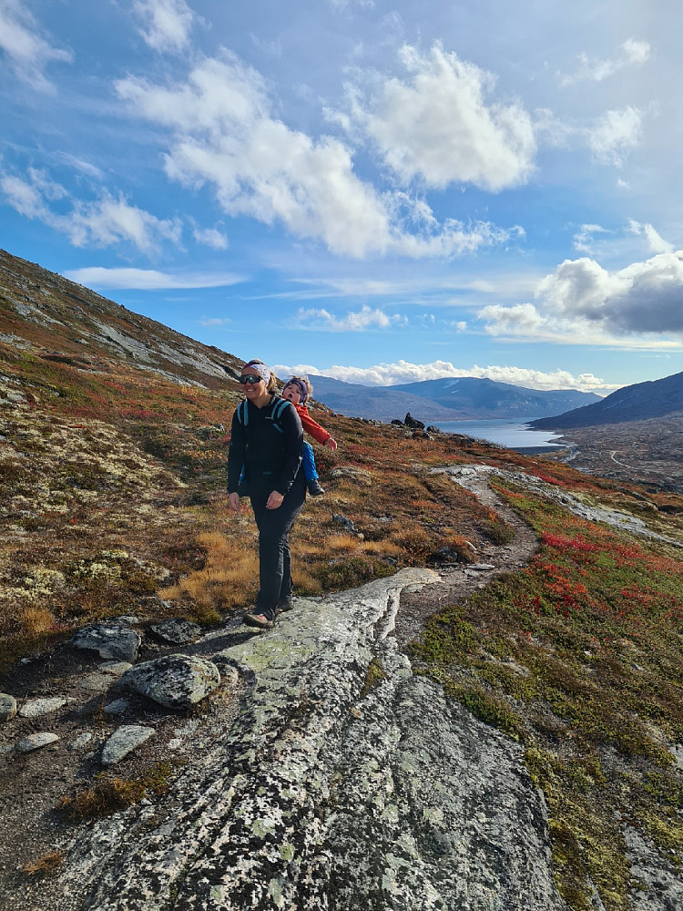 Inn mot Stordalen