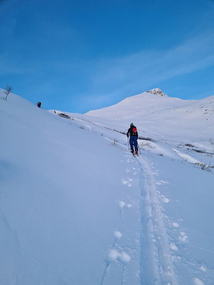 Snøtind