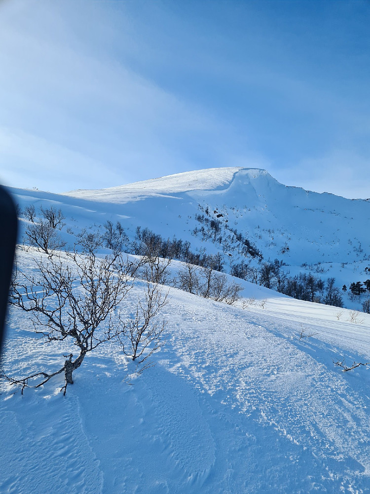 Skårsfjellet