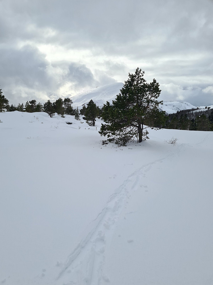 Utsikt mot Tusten fra toppen av haugen