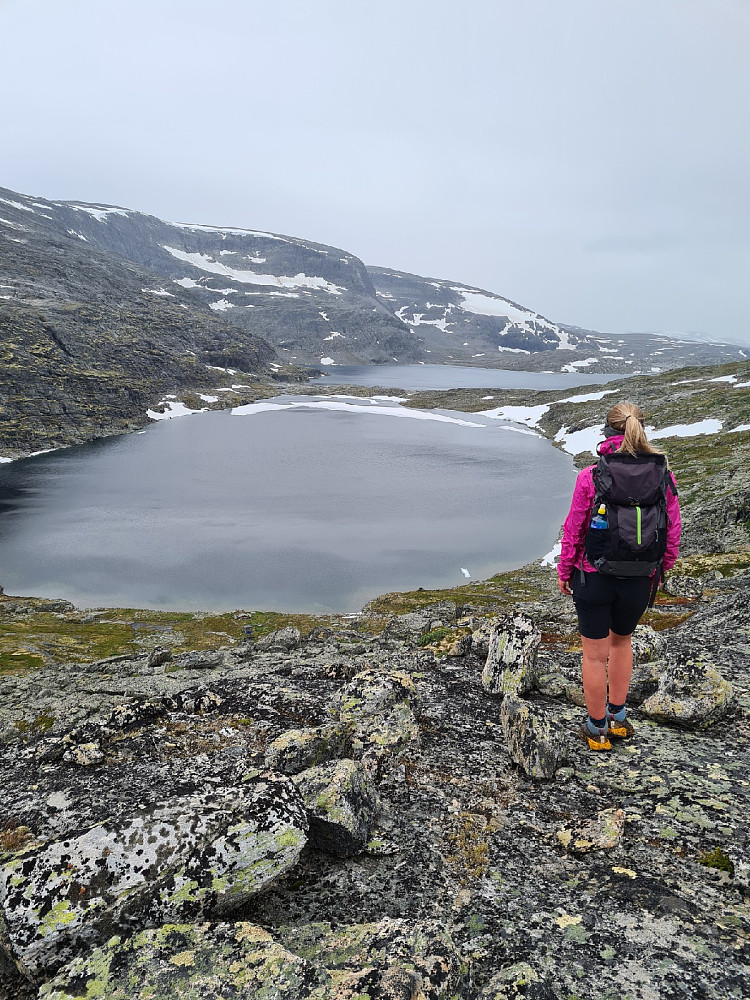 På vei ned mot Loennechenbua og Litlvatnet 