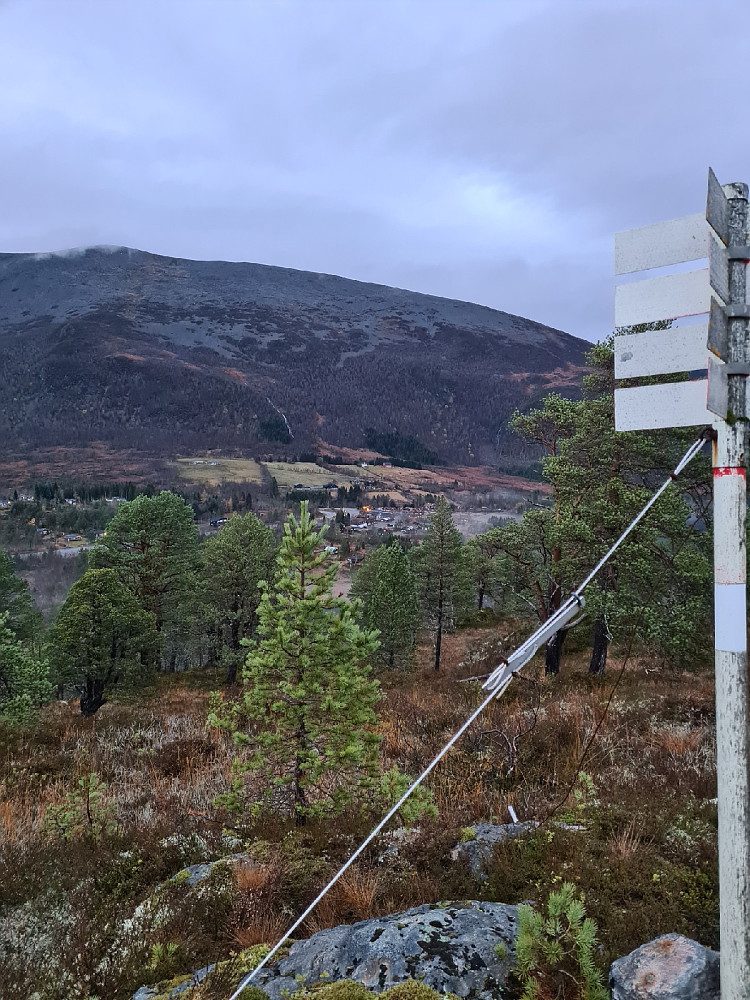 Utsikt fra Ulvshaugen mot Skaret
