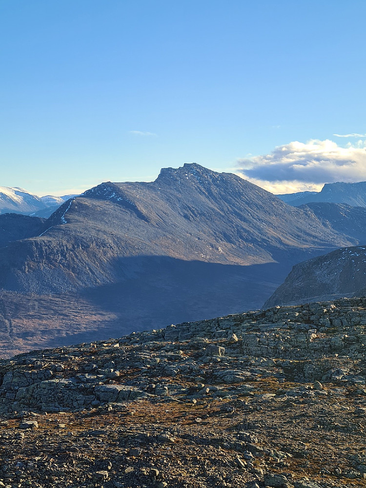 Skrommelnebba
