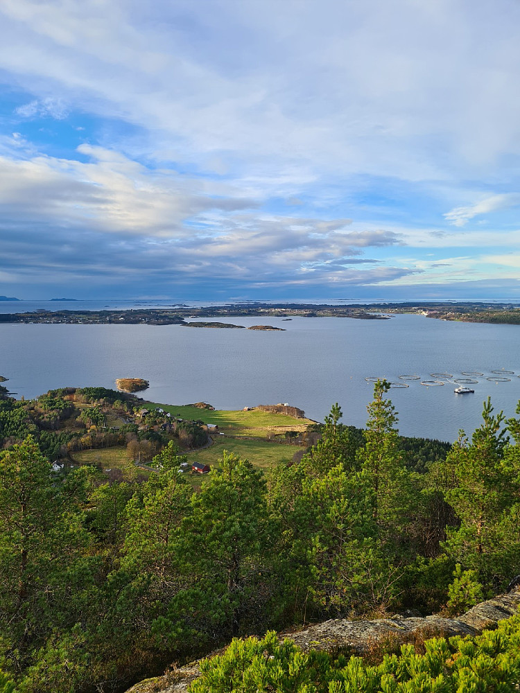 Gossen