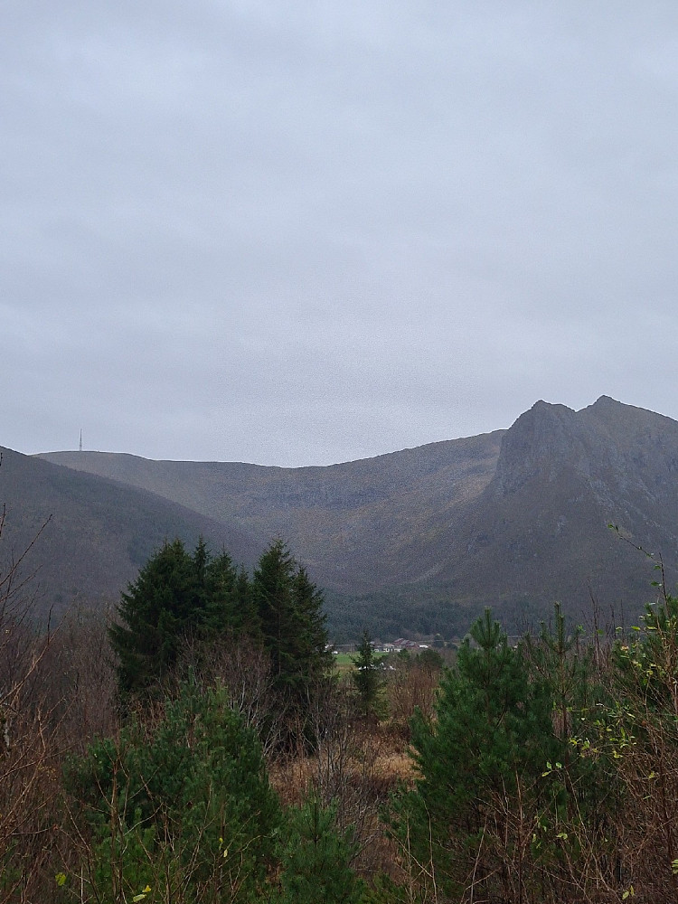 Skarset