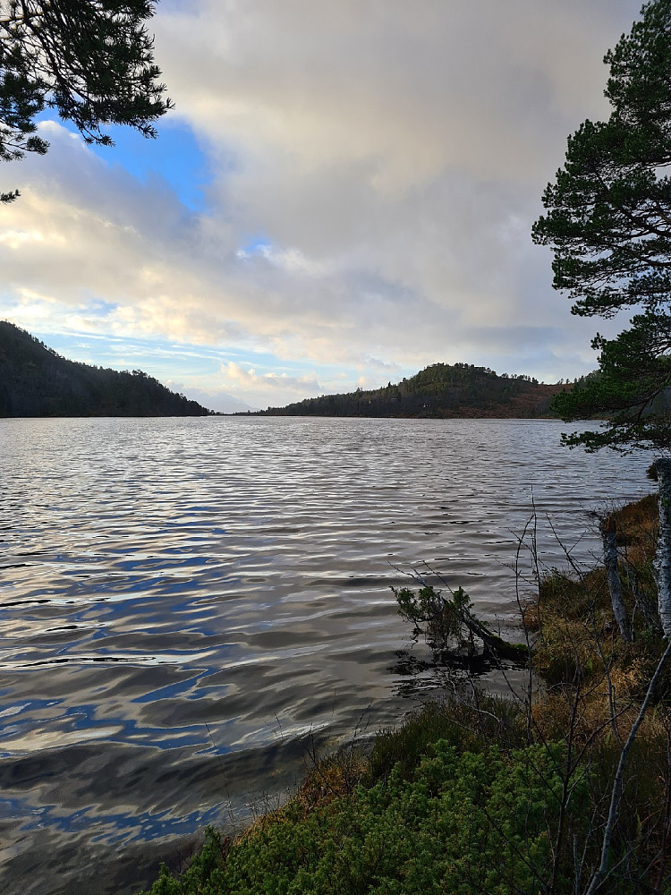 Bårdsdalsvatne