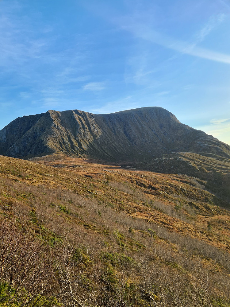 Harstad