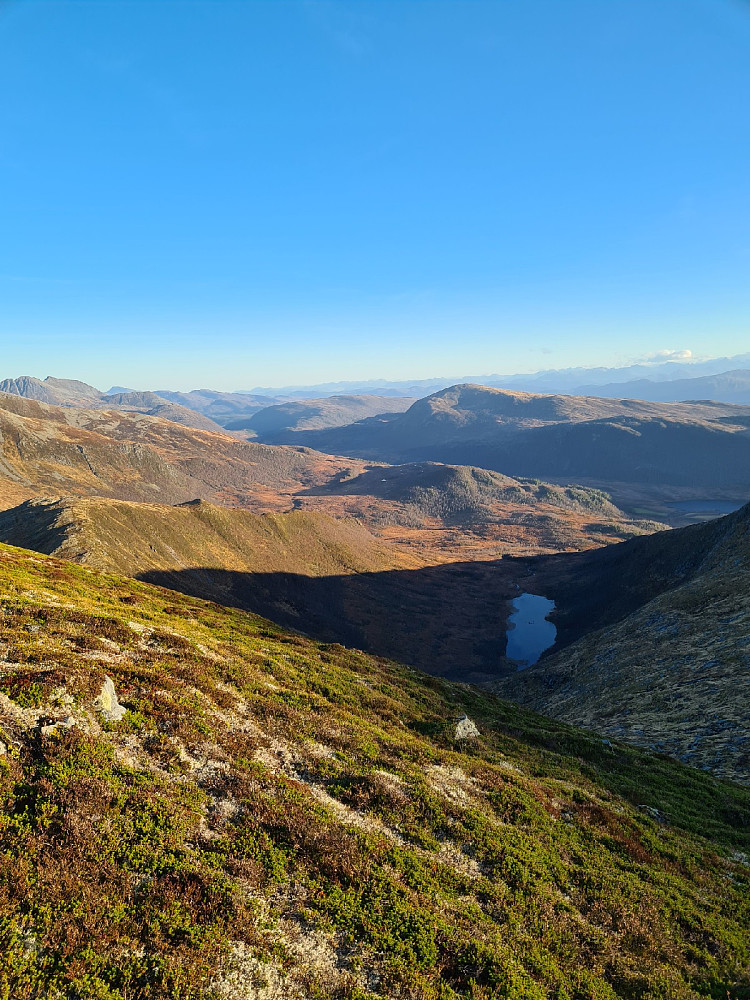 Dyrdalen