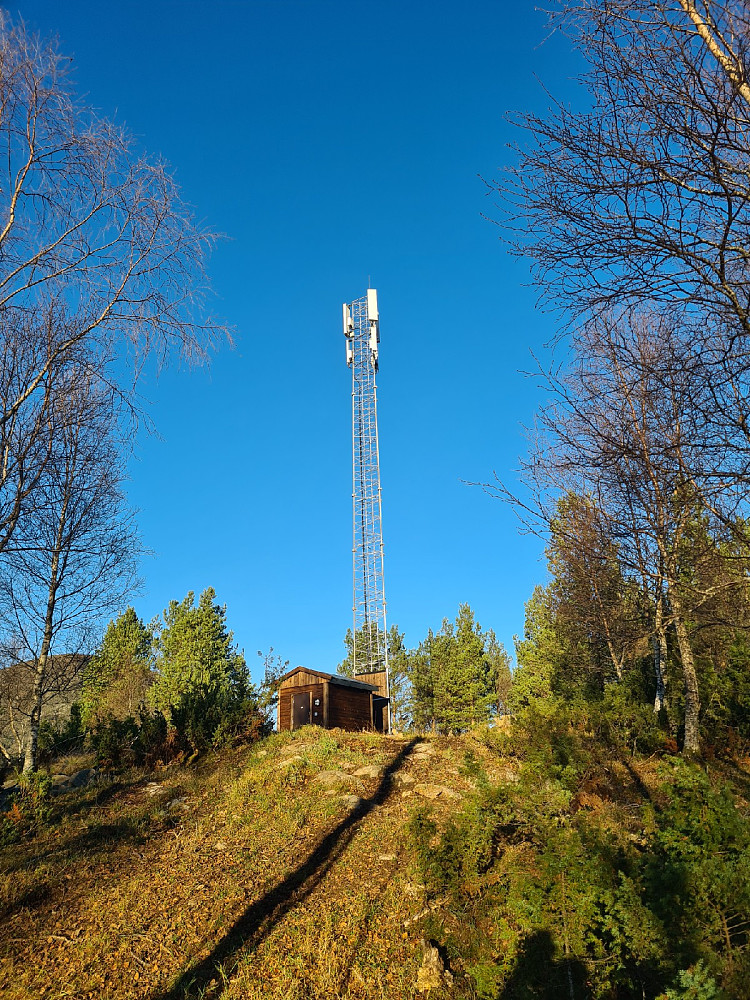 Mast