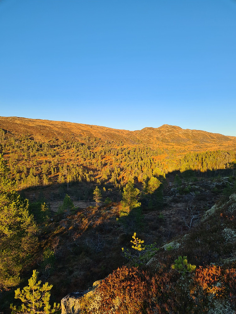Arsdalen