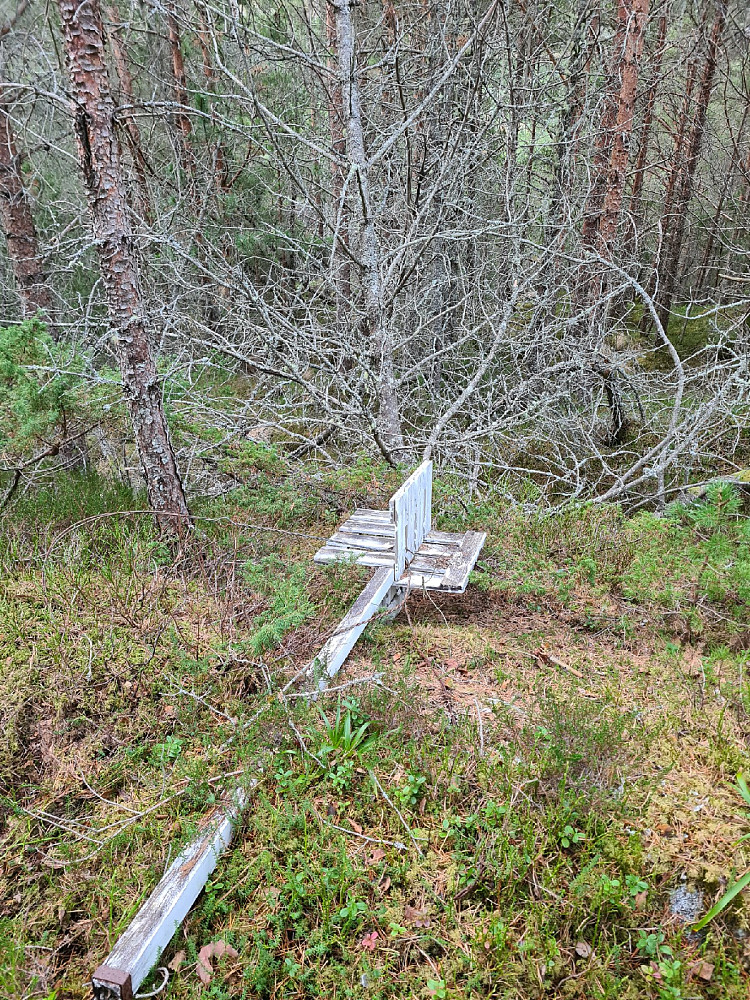 Bildet er beskrivende for turen