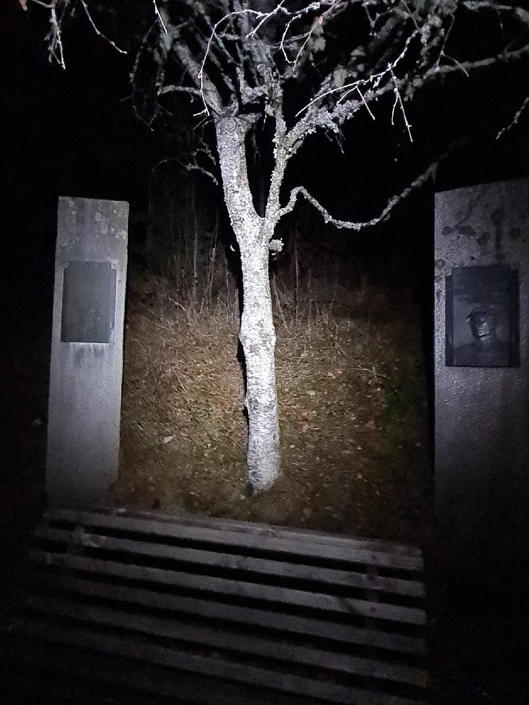 Måtte besøke Kongebjørka i disse tider