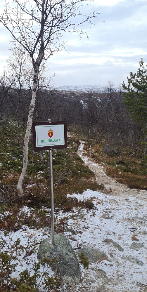 Asbjørnsdalen er en av inngangene til Reinheimen nasjonalpark